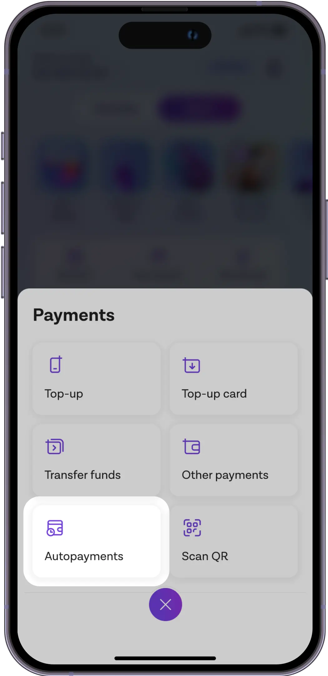Click on Payments